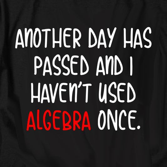 Another Day Has Passed Algebra T Shirt