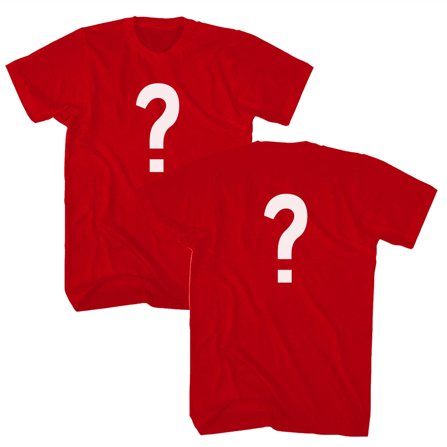 Custom Image Front and Back T-Shirt - You Pick the Image