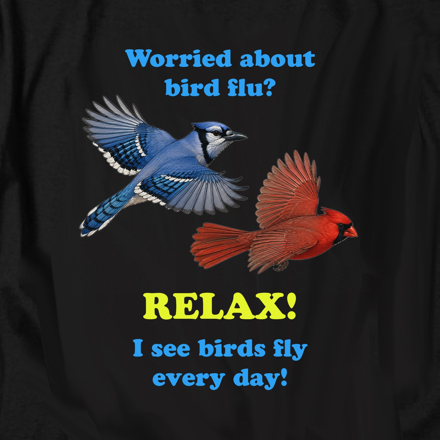 Worried about bird flu? T Shirt