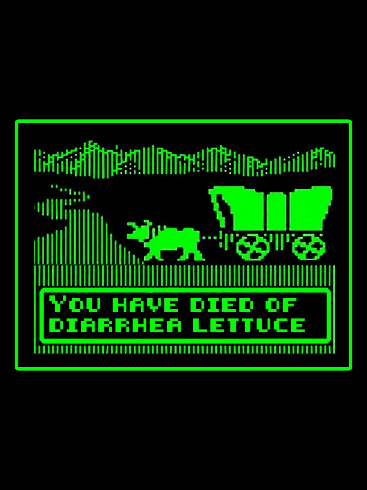 You Have Died of Diarrhea Lettuce T Shirt